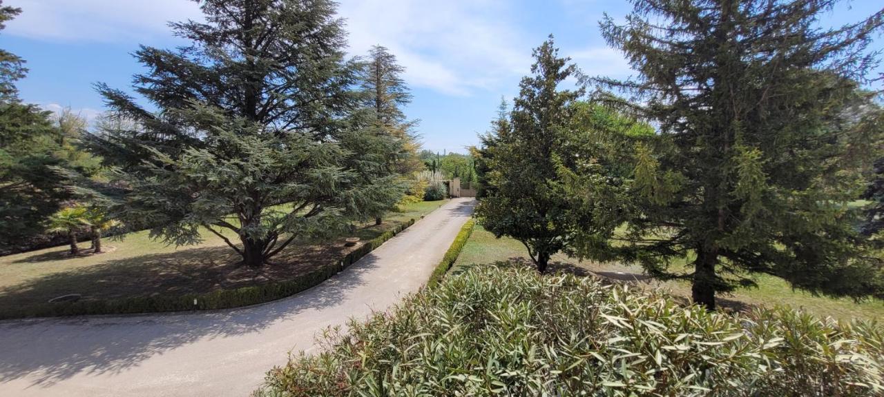 Villa Liberty Entraigues-sur-la-Sorgue 외부 사진
