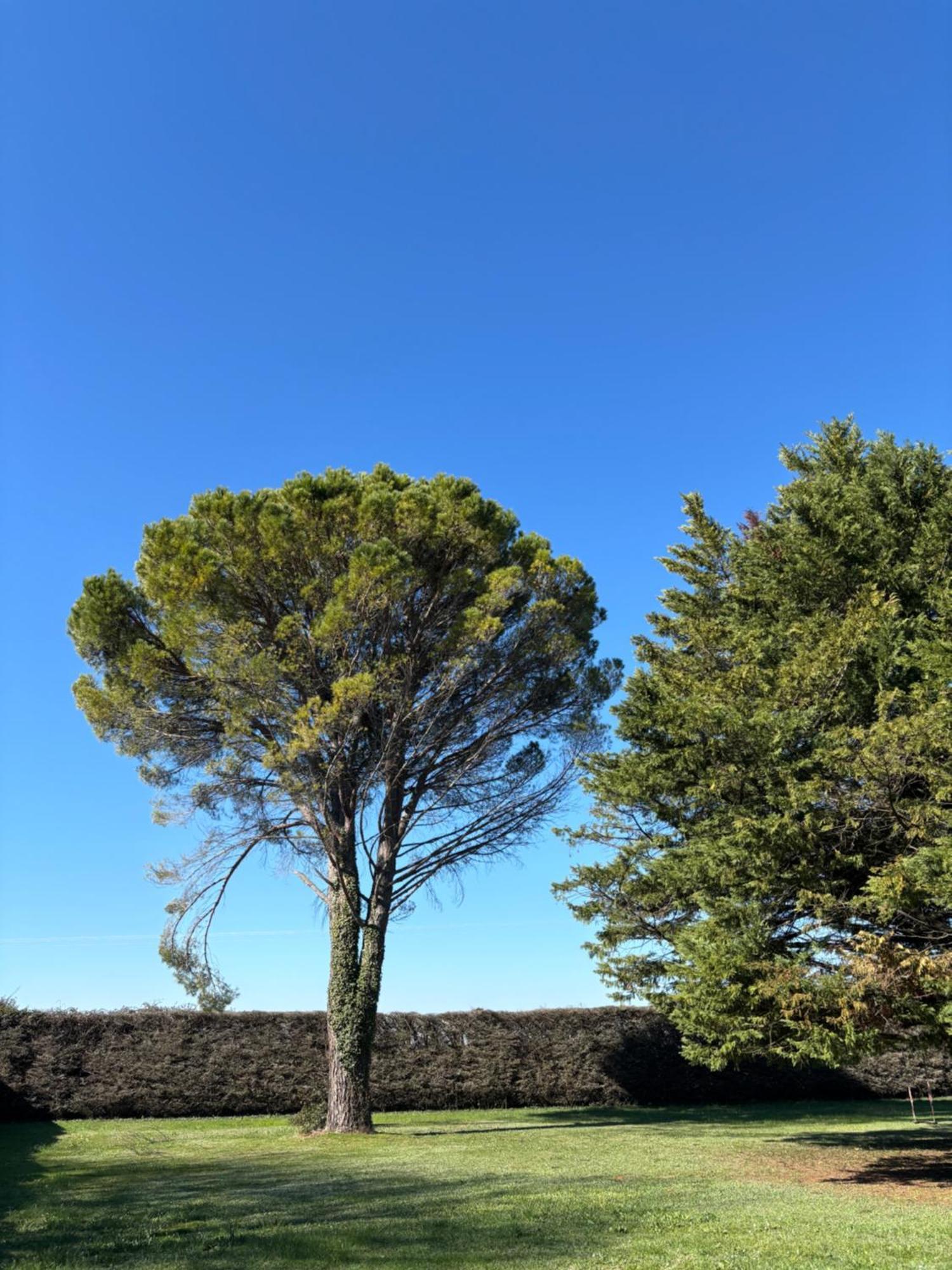 Villa Liberty Entraigues-sur-la-Sorgue 외부 사진
